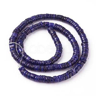 Shell Beads Strands SSHEL-E571-49F-1