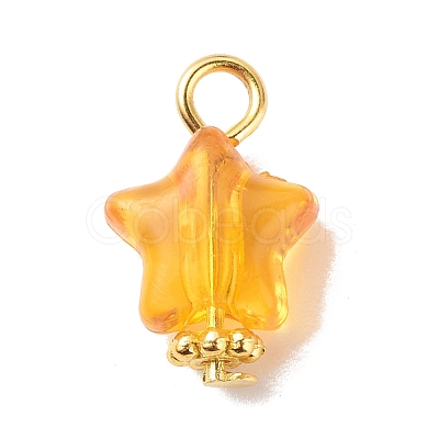 Transparent Acrylic Pendants PALLOY-JF01834-03-1