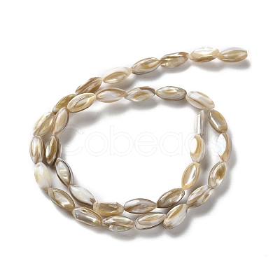 Natural Freshwater Shell Beads Strands SSHEL-B002-13-1
