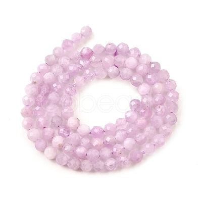 Natural Kunzite Beads Strands G-G259-D11-4mm-1
