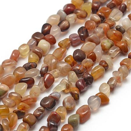 Natural Petrified Wood Beads Strands G-F465-20A-1