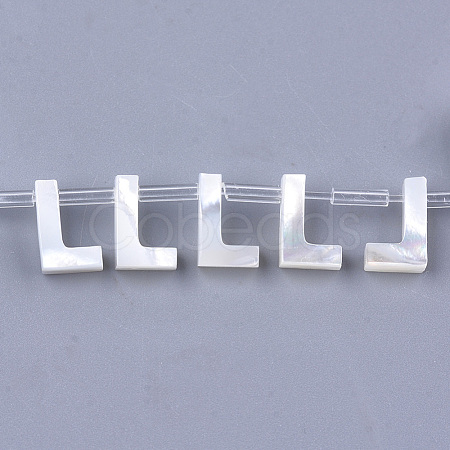 Natural Sea Shell Beads SHEL-T012-60L-1