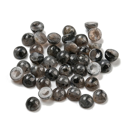 Natural Labradorite Cabochons G-H309-03-39-1