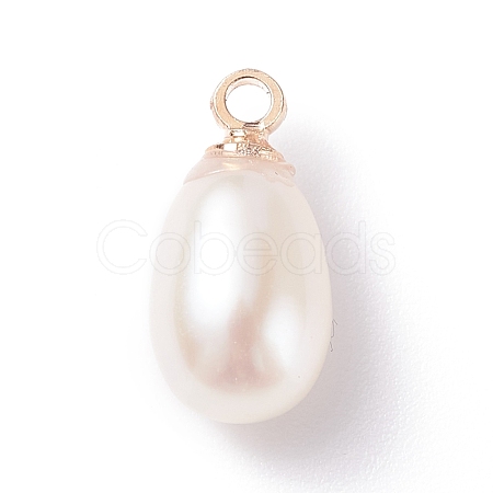 Natural Pearl Charms PALLOY-JF01281-02-1