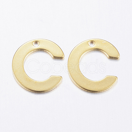304 Stainless Steel Charms X-STAS-P141-C-1