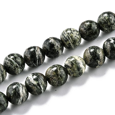 Natural Green Zebra Jasper Beads Strands G-O199-05A-1