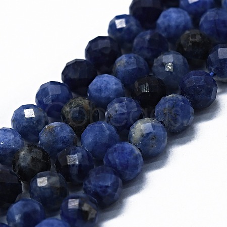 Natural Sodalite Beads Strands G-G927-42-1