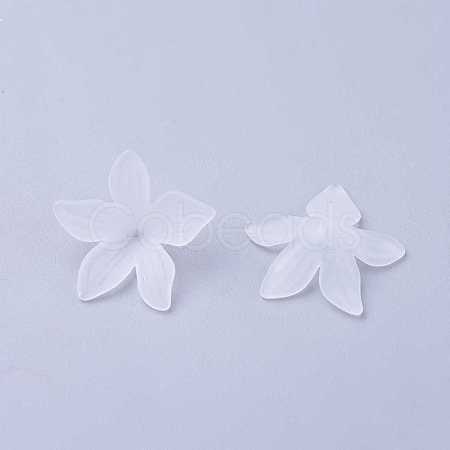 Clear Frosted Acrylic Flower Beads X-PL594-11-1