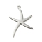 Non-Tarnish 304 Stainless Steel Pendants, Laser Cut, Starfish Charm, Stainless Steel Color, 29x20x1mm, Hole: 1.5mm