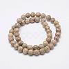 Natural Fossil Coral Beads Strands G-P325-01-8mm-2