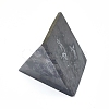 Natural Shungite Home Display Decorations G-F675-22-3