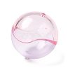 Transparent Acrylic Bead Cone OACR-A023-01A-4