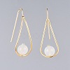 Natural Gemstone Dangle Earrings EJEW-JE03595-3