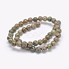 Natural Tibetan 3-Eye dZi Agate Beads Strands G-F354-05-2