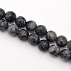 Faceted Round Natural Larvikite Beads Strands G-E302-083-8mm-1