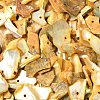 Dyed Natural Mother of Pearl Shell Nuggets Chips Beads BSHE-O007-10C-5