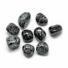 Natural Snowflake Obsidian Gemstone Beads G-S218-09-1