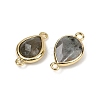Natural Labradorite Faceted Connector Charms G-L514-048P-05-2