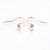 316 Surgical Stainless Steel Earring Hooks X-STAS-P220-13RG-2