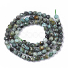 Natural African Turquoise(Jasper) Beads Strands X-G-S361-4mm-002-2