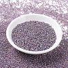 MIYUKI Round Rocailles Beads SEED-JP0008-RR1012-2