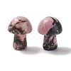 Natural Rhodonite GuaSha Stone G-A205-26M-1