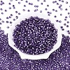 Silver Lined Glass Seed Beads SEED-T007-18A-09-2