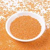 MIYUKI Round Rocailles Beads SEED-G007-RR0253-2
