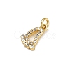 Brass Micro Pave Cubic Zirconia Charms LS-KK-H077-02G-02-2