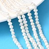 Natural Cultured Freshwater Pearl Beads Strands PEAR-I007-07O-09A-1