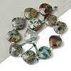 Natural African Turquoise(Jasper) Beads Strands G-D316-A03-1