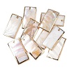 Natural Shell Pendants SH-CBACA76-12-1