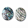 Natural Abalone Shell/Paua Shell Cabochons SSHEL-N034-87-2