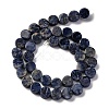 Natural Sodalite Beads Strands G-C159-B10-01-2