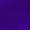 TOHO Round Seed Beads SEED-TR11-0008F-2