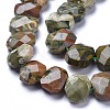 Natural Rhyolite Jasper Beads Strands G-L505-20-3