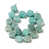 Natural Amazonite Beads Strands G-P534-A07-01-3