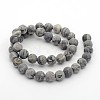 Frosted Natural Map Stone/Picasso Stone/Picasso Jasper Round Bead Strands X-G-M272-08-8mm-2