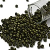 TOHO 6/0 Round Beads SEED-TR06-0617-1