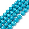Natural Howlite Beads Strands G-C180-15C-1