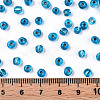 6/0 Glass Seed Beads SEED-A005-4mm-23B-5