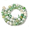 Dyed & Heated Natural Fire Crackle Agate Beads Strands G-P539-B01-24-3