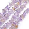 Natural Ametrine Beads Strands G-P332-49B-1