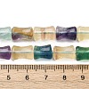 Natural Colorful Fluorite Beads Strands G-H051-B01-02-5