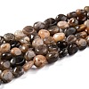 Natural Black Sunstone Beads Strands G-G018-03A-1