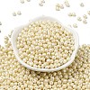 6/0 Glass Seed Beads SEED-L011-08A-16-2