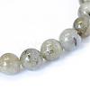 Natural Labradorite Round Bead Strands G-E334-10mm-19-2