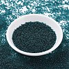 MIYUKI Round Rocailles Beads SEED-X0054-RR2406-2