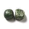 Natural Green Spot Jasper Beads G-G979-A13-2