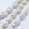 Natural Baroque Pearl Keshi Pearl Beads Strands PEAR-K004-17-1